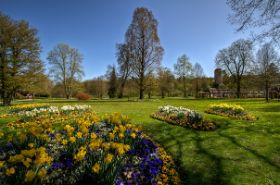 Badsalzhausen-Blumen-.jpg