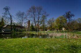 Teich in Bad Salzhausen