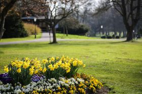 Bad-salzhausen-Frühling-12.jpg