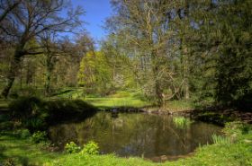 Badsalzhausen-teich-Bank-.jpg